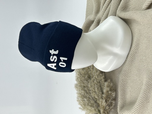 Шапка Ast 01 арт.59416 Джетул муж. 56-58 (темно-синий)