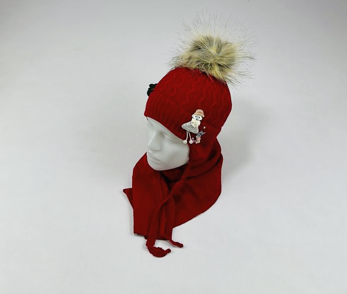 Комплект Сириус арт.724 (красный)