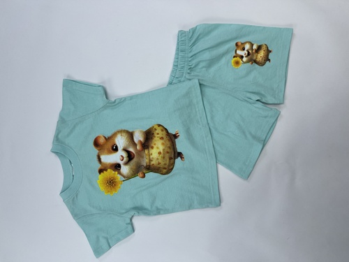 Костюм (футболка+шорты) Хомяк арт.251078 CHASTE дев. 1-4 (мятный)