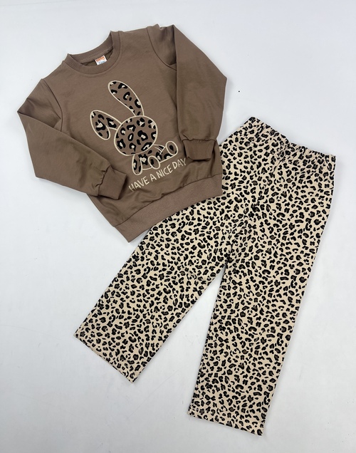 Костюм (кофта+штаны) HAVE A NICE DAY арт.62074 CITCIT дев. 5-8 (коричневый)