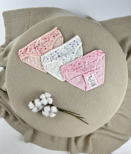 Трусы арт.6106-88 дев. 1-2 (микс)