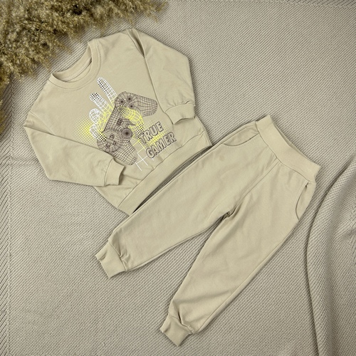 Костюм (кофта+штаны) Truf camer арт.2522 Danico kids мал. 3-6 (бежевый)