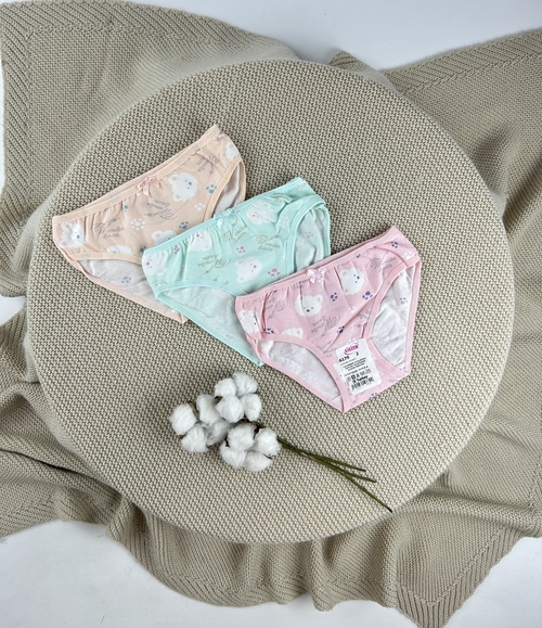 Трусы арт.6179-88 дев. 9-10 (микс)