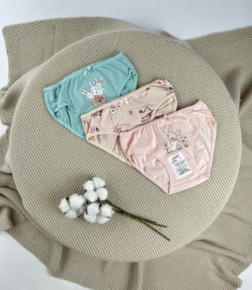 Трусы арт.6224-88 дев. 7-8 (микс)