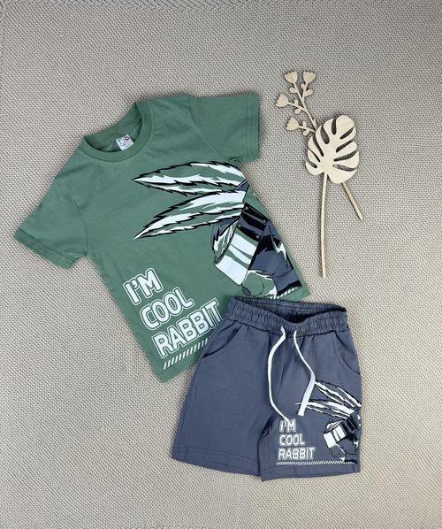 Костюм Футболка-шорты (Rabbit) арт.250106 BIM kids мал. 5-8 (полынь)