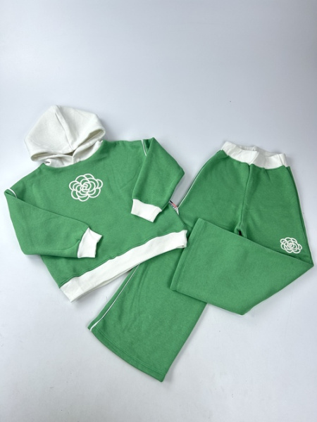 Комплект (кофта+штаны) Цветок начес арт.536869 Limones дев. 7-10 (зеленый)