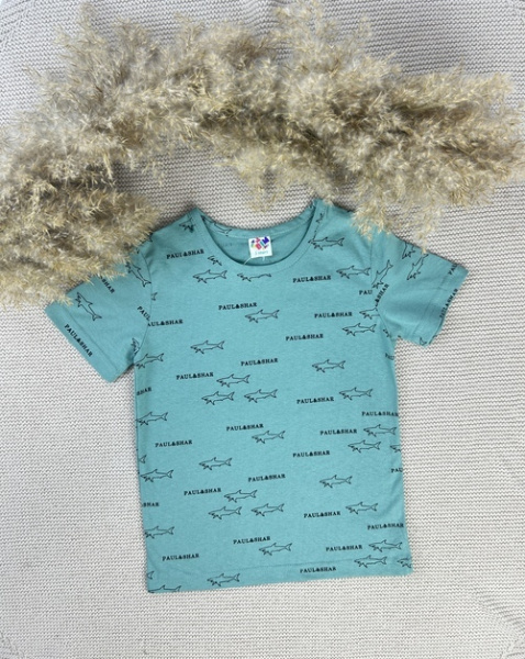 Футболка PAUL&SHAR арт.63318 Bim kids мал. 5-8 (полынный)