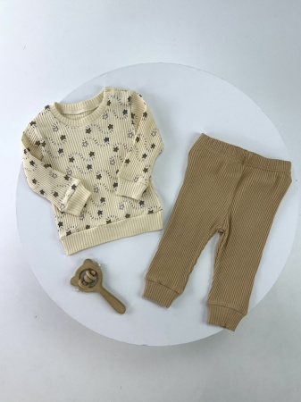 Шапка Кошка cute арт.400105 Vito дев. 52-54 (микс)